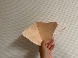 알도(A.L.D.O) 알도 에코슈브 성인 마스크(특대형) — 5점을 준 리뷰어가 2022년 9월 올린 사용 사진