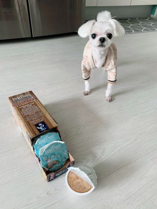sooa님이 올린 리뷰 사진 4