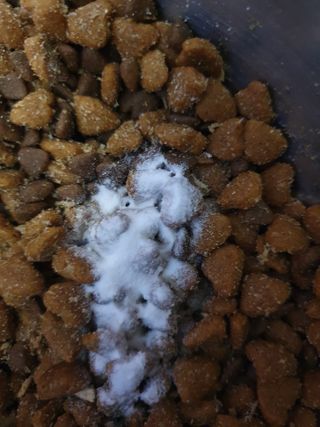 My Pet Care 모발과 모질 피부건강에 개좋아 — 5점을 준 리뷰어가 2021년 1월 올린 사용 사진
