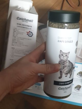 옹알이님이 올린 리뷰 사진 2
