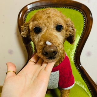 1sound님이 올린 리뷰 사진 2