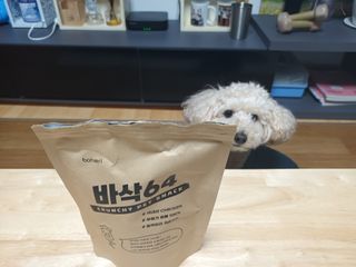 [보헤리] 국내산 강아지 육포간식 바삭 64 2종 — 5점을 준 리뷰어가 2022년 4월 올린 사용 사진