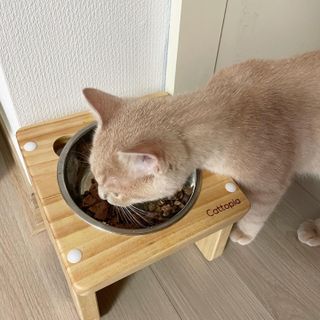 루하님이 올린 리뷰 사진 4