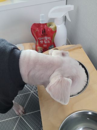 pussyess님이 올린 리뷰 사진 3