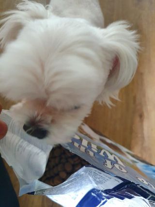 수니니님이 올린 리뷰 사진 4