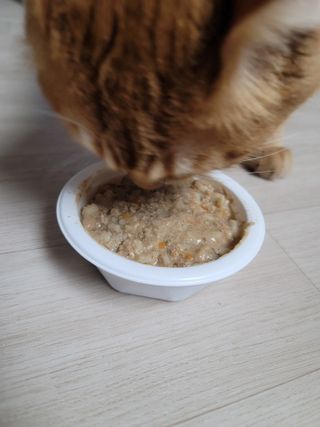 쪙현님이 올린 리뷰 사진 2