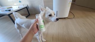 whol 키토클린 200ml - 항균항바이러스 강아지 눈 코 입 귀 세정탈취 고양이 턱드름제거 무향 워터리스 대용량 — 5점을 준 리뷰어가 2022년 10월 올린 사용 사진