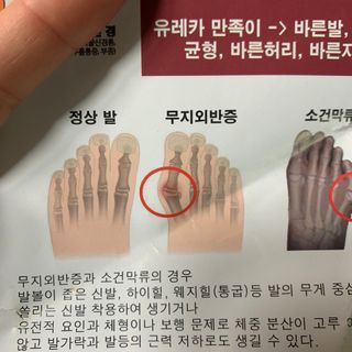 빙빙이님이 올린 리뷰 사진 2