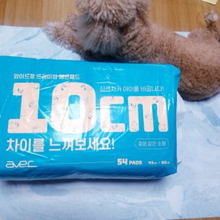아베크 펫 와이드 프리미엄 중형 애견 강아지 배변 패드 54매 1팩 45g — 5점을 준 리뷰어가 2021년 7월 올린 사용 사진
