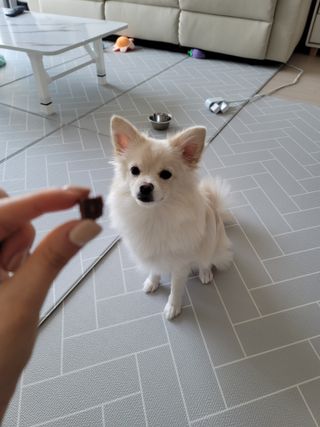 이진선님이 올린 리뷰 사진 4