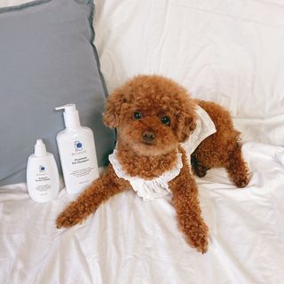 조이님이 올린 리뷰 사진 1
