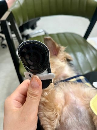 꿀님이 올린 리뷰 사진 3