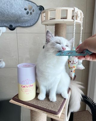 ccoyo님이 올린 리뷰 사진 2