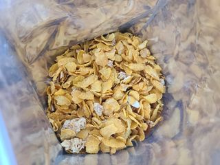 다솜이마마님이 올린 리뷰 사진 2