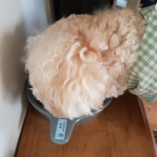 크림푸님이 올린 리뷰 사진 2
