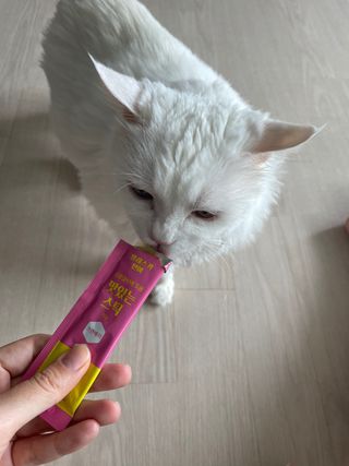 페페로니 맛있는 스틱 - 무항생제 닭고기 15개 + 알래스카 연어 15개 — 5점을 준 리뷰어가 2021년 8월 올린 사용 사진