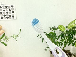트윙클J님이 올린 리뷰 사진 3