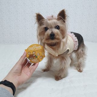 솜희님이 올린 리뷰 사진 2