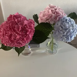피글렛님이 올린 리뷰 사진 3