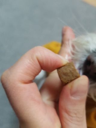 My Pet Care 천연단백질 관절건강에 개좋아 — 4.5점을 준 리뷰어가 2020년 12월 올린 사용 사진