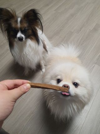얌얌이님이 올린 리뷰 사진 4