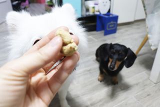 맹고님이 올린 리뷰 사진 4