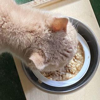 보니보니님이 올린 리뷰 사진 2