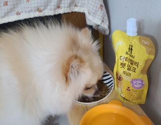 모르님이 올린 리뷰 사진 4