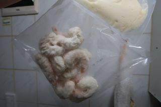 SubinKim님이 올린 리뷰 사진 2