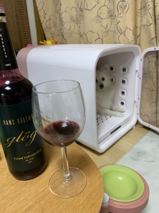 H365 [Kaskein Glögi] 핀란드 전통 무알콜 멀드와인 글로기 — 5점을 준 리뷰어가 2021년 5월 올린 사용 사진