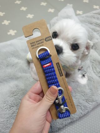 뽀야님이 올린 리뷰 사진 1