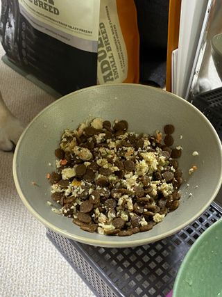 씽크라이크펫 강아지 화식 (50g 소/닭/오리/양 1팩씩 4팩) — 5점을 준 리뷰어가 2023년 1월 올린 사용 사진