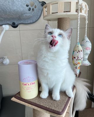 ccoyo님이 올린 리뷰 사진 1