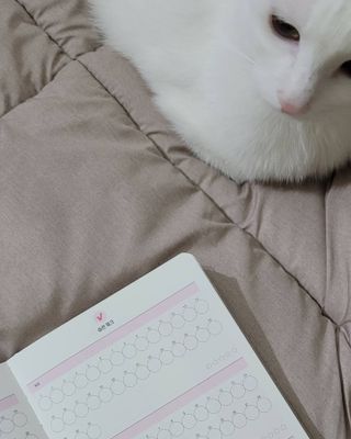 대박이님이 올린 리뷰 사진 4