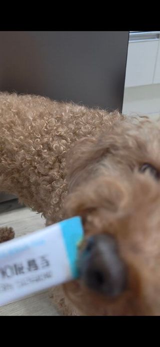 냠님이 올린 리뷰 사진 2