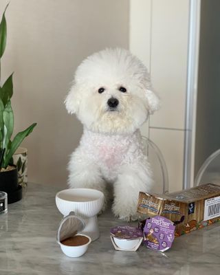 윤긍정님이 올린 리뷰 사진 1