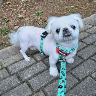 mini unni님이 올린 리뷰 사진 1