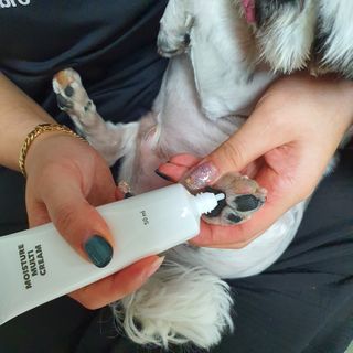 꽃단이님이 올린 리뷰 사진 3