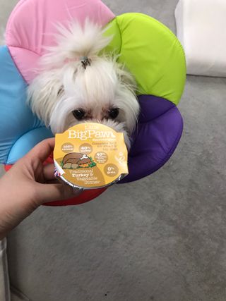 윤퍼플님이 올린 리뷰 사진 1