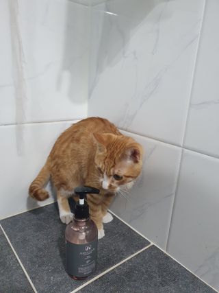 마리앤루이펫샴푸 [mari and louie pet shampoo] — 4.5점을 준 리뷰어가 2021년 5월 올린 사용 사진