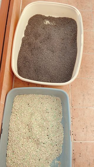 카멜레님이 올린 리뷰 사진 2