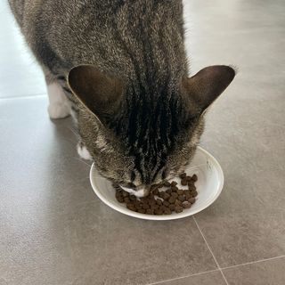 soojinn님이 올린 리뷰 사진 3