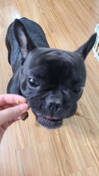 윤세둥이님이 올린 리뷰 사진 3