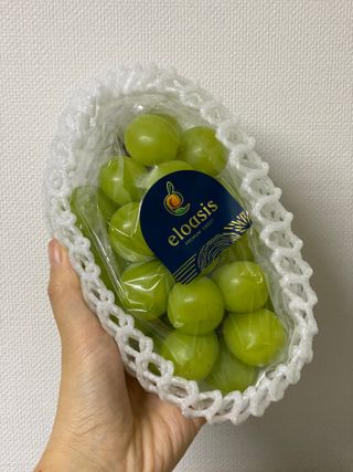 다령다랭님이 올린 리뷰 사진 3