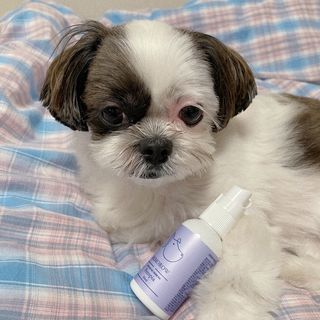 제리님이 올린 리뷰 사진 2
