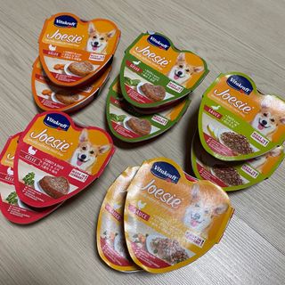 비타크래프트 조에시 하트캔 85g 강아지 습식캔 10캔 — 5점을 준 리뷰어가 2021년 10월 올린 사용 사진