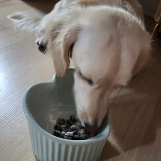PDKIM님이 올린 리뷰 사진 3