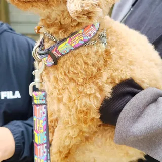 꽃양뿌니님이 올린 리뷰 사진 4
