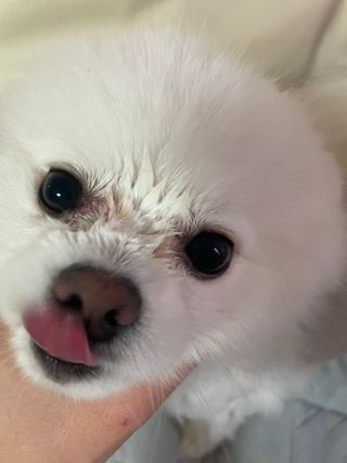 어거스트비님이 올린 리뷰 사진 2