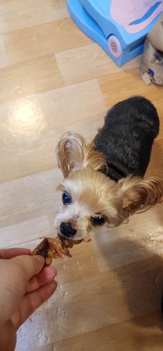 강미선님이 올린 리뷰 사진 3